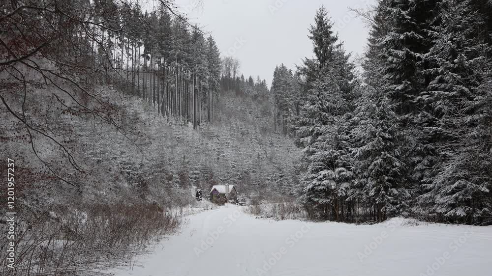 A small house nestled in a snowy valley surrounded by tall evergreen trees and a peaceful winter forest. The winding path adds charm to this serene countryside setting. A small house nestled in a snowy valley surrounded by tall evergreen trees and a peaceful winter forest. The winding path adds charm to this serene countryside setting.