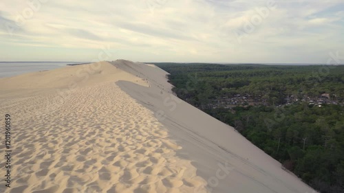 dune du pilat arcachon france sand mountain dune with pines forest