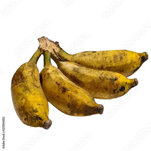 bunch of bananas  photo