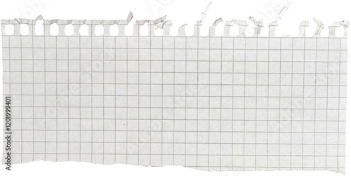 Ripped torn paper piece isolated on transparent background