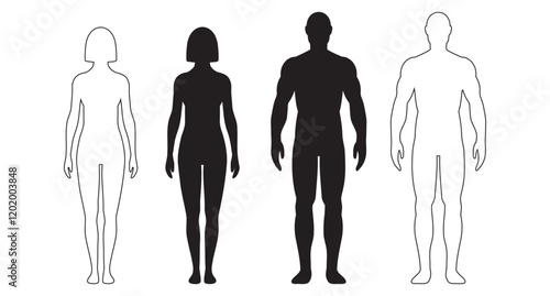 human body man and woman silhouette, male and female figure. vector monochrome isolated person outline standing full height. Outline and black people anatomy representation