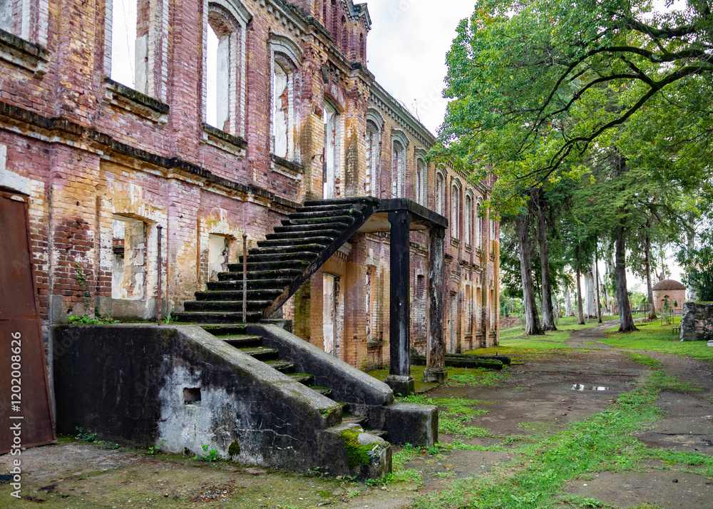 ruined monastery in the middle of the forest, ancient christian monastery surrounded by century-old trees, abkhazia ruined monastery in the middle of the forest, ancient christian monastery surrounded by century-old trees, abkhazia