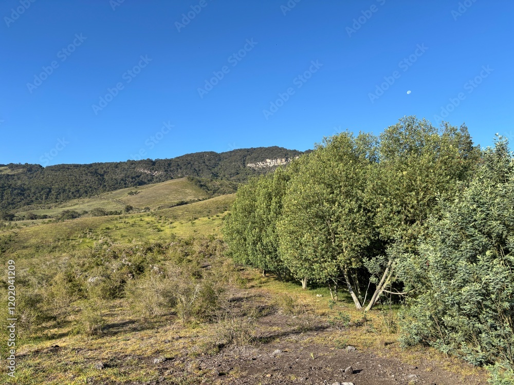 Naklejka premium paisaje hermoso con luna de fondo en cielo azul