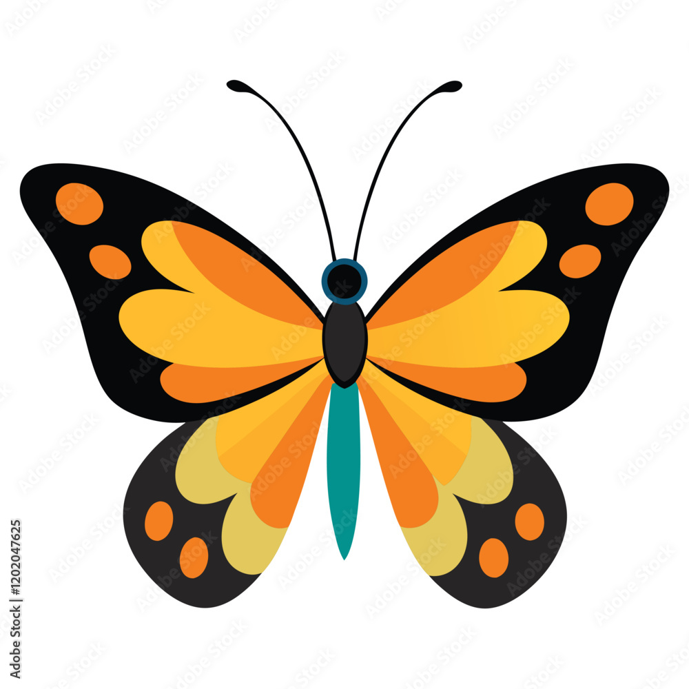 butterfly on white background butterfly on white background