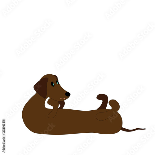 dachshund, такса
