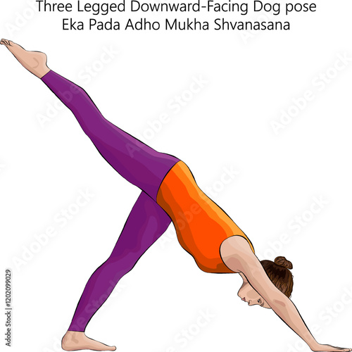 Young woman practicing Eka Pada Adho Mukha Shvanasana yoga pose. Three Legged Downward-Facing Dog pose. Isolated vector illustration.