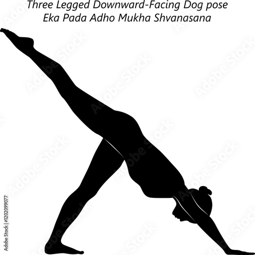 Silhouette of woman practicing Eka Pada Adho Mukha Shvanasana yoga pose. Three Legged Downward-Facing Dog pose. Isolated vector illustration