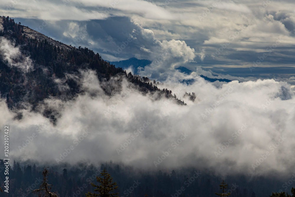snow covered mountains