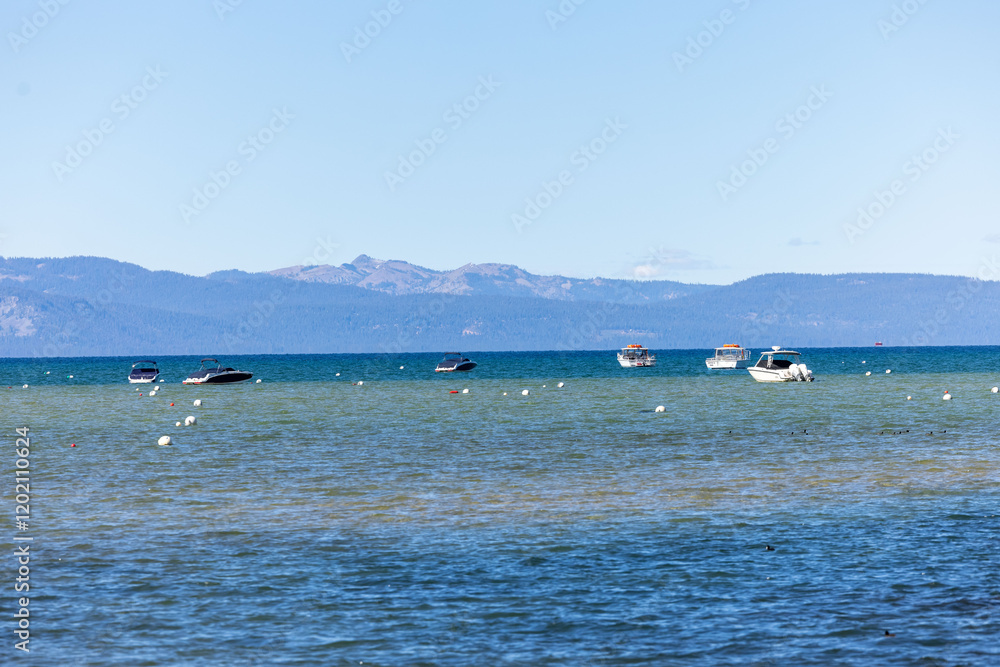 seagulls on the beach