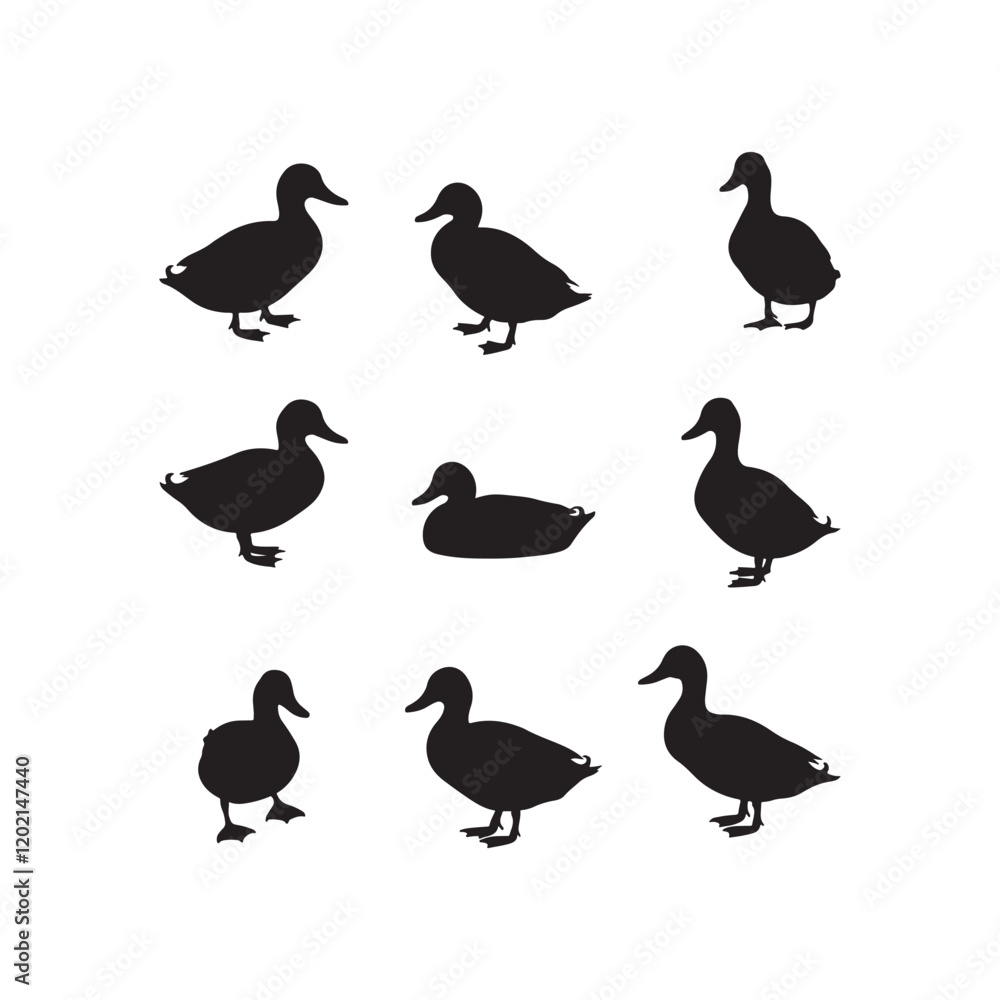 Fototapeta premium swan birds duck animals cartoon character icon set collection silhouette vector art flat design illustrations