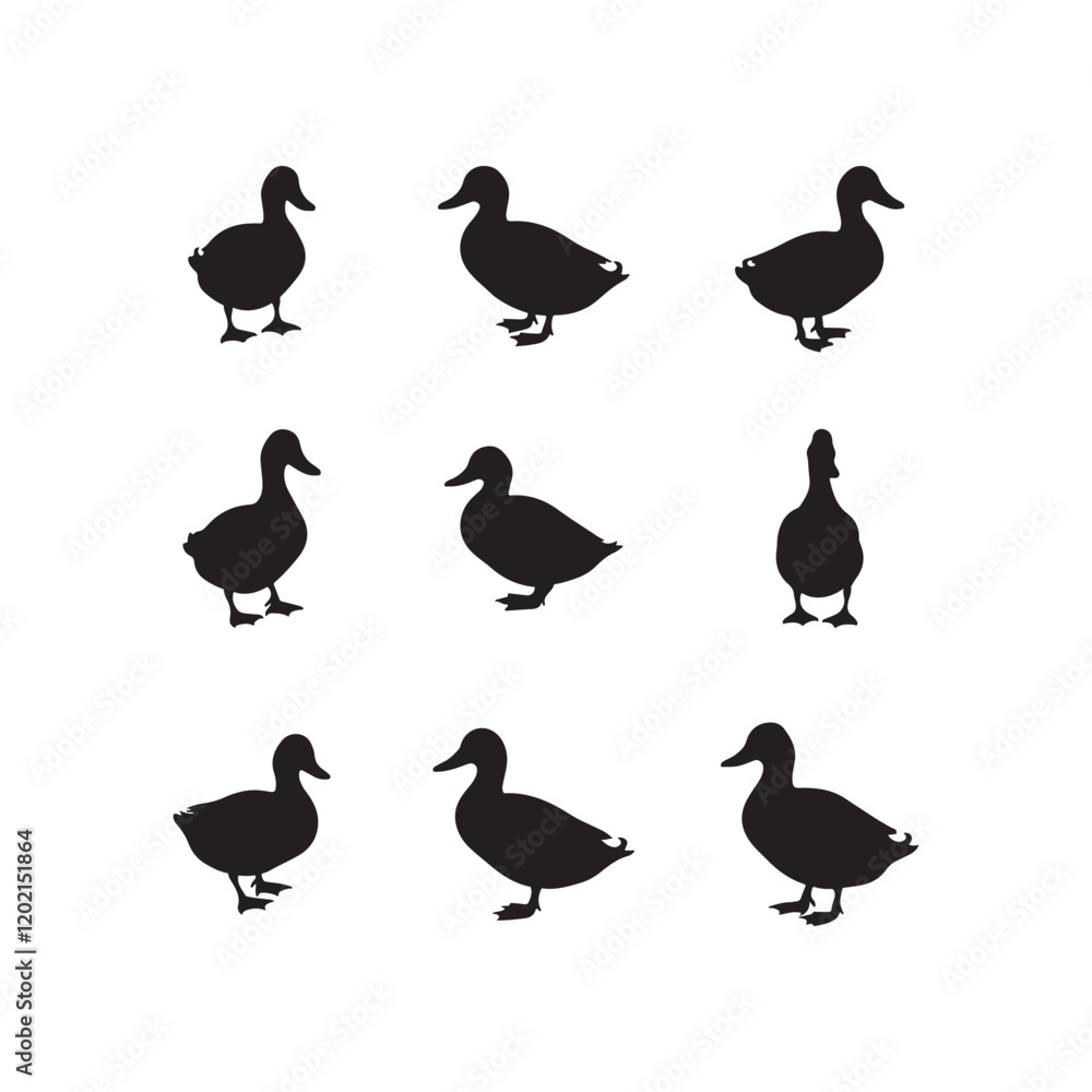 Obraz premium swan birds animals goose cartoon character icon set collection silhouette vector art flat design illustrations