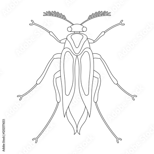 Coloring book of bug, grasshopper beetle. Doodle insect. Nature and biodiversity insect specie. Beetle vector flat illustration.