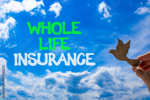 Whole life insurance symbol. Concept words Whole life insurance on beautiful blue sky. Beautiful blue sky and clouds background. Businessman hand. Business whole life insurance concept. Copy space. photo