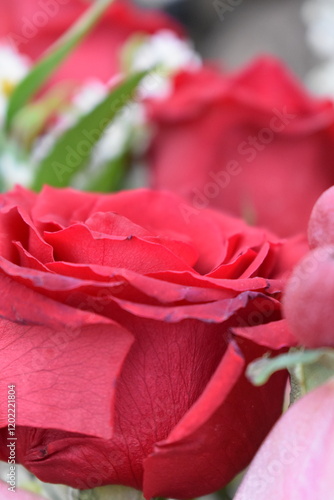 bouquet of red roses