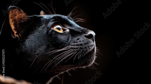 A side profile of a black cat is captured with focus on its gleaming whiskers and bright eyes, against a deep black void, giving it an enigmatic allure. photo