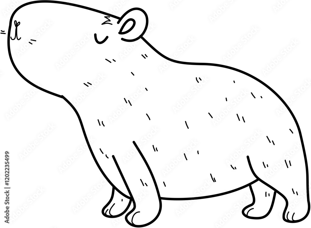 Cute capybara. Childish doodle hand drawn vector illustration isolated on white background. Cute capybara. Childish doodle hand drawn vector illustration isolated on white background.