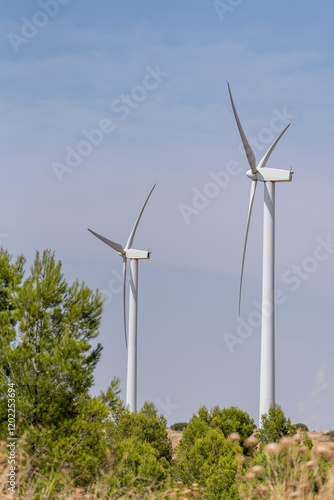 Molinos de viento