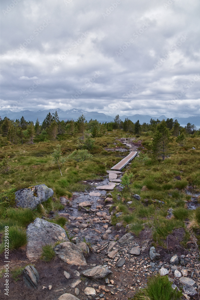 Varden viewpoint hiking trail views, fjord city of Molde mountain forests surrounded by ocean islands summer 2024, Norway Scandinavia Europe.