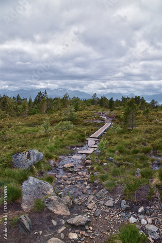 Obraz na płótnie Varden viewpoint hiking trail views, fjord city of Molde mountain forests surrounded by ocean islands summer 2024, Norway Scandinavia Europe. w salonie