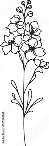 Elegant Delphinium Flower Illustration - Minimalist Line Art