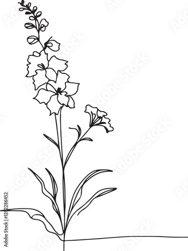 Elegant Delphinium Flower Illustration - Minimalist Line Art