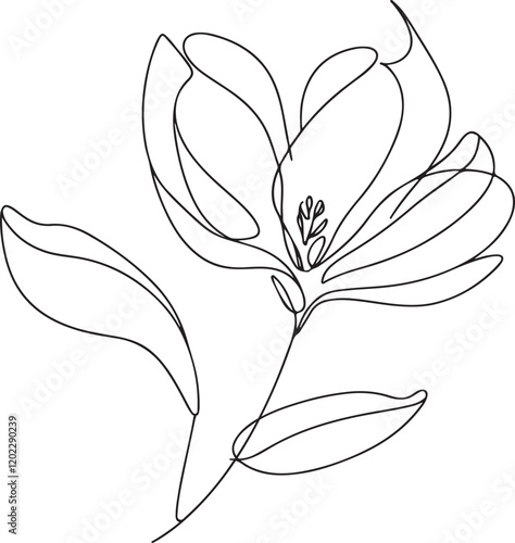 Magnolia Flower Vector Drawing – Line Art Design photo