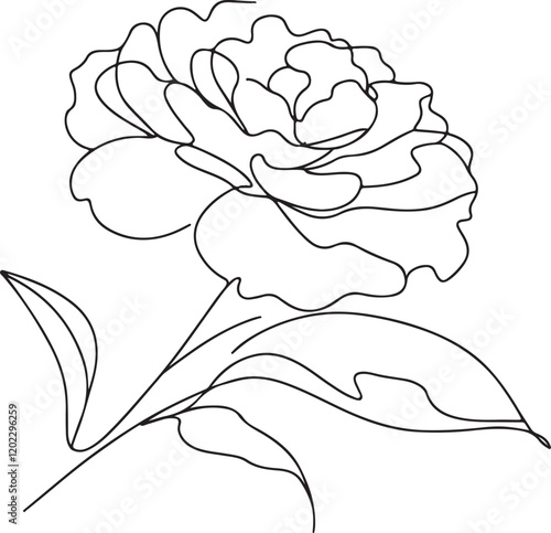 Stunning Line Drawing of Camellia Flower - Vector Art