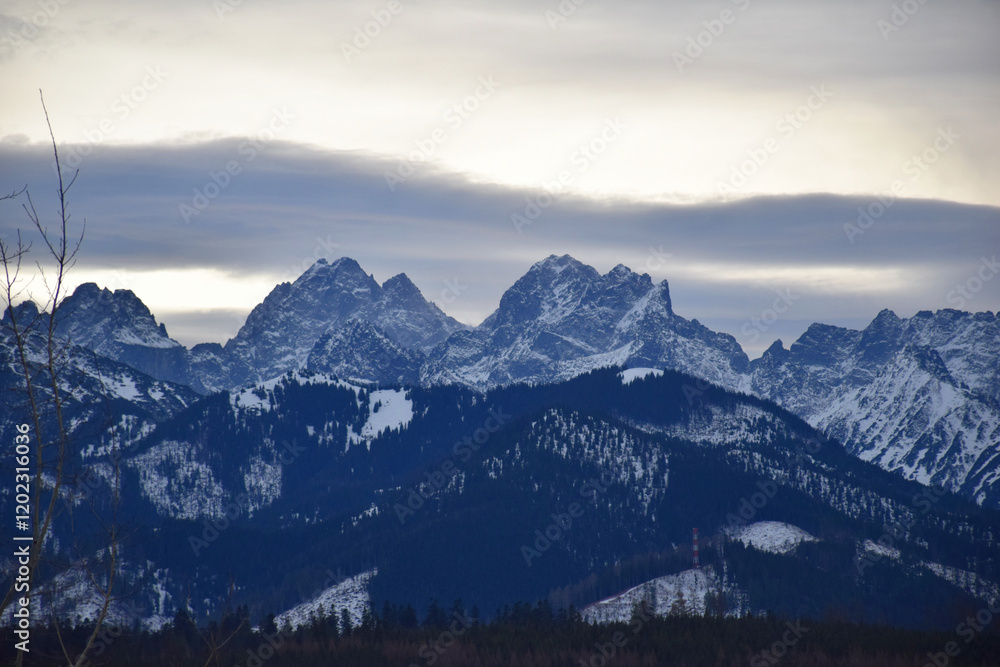 Snow-capped High Tatras peaks rise above a vast, lush green forest, creating a breathtaking contrast between the icy European mountain tops and the dense woodlands below. Rugged ridges and pine trees.
