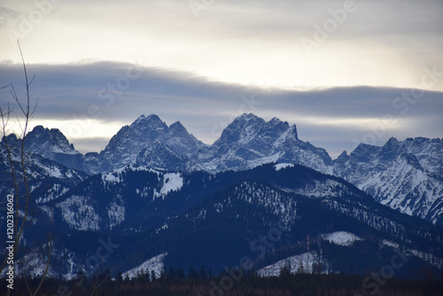 Wallpaper Mural Snow-capped High Tatras peaks rise above a vast, lush green forest, creating a breathtaking contrast between the icy European mountain tops and the dense woodlands below. Rugged ridges and pine trees. Torontodigital.ca