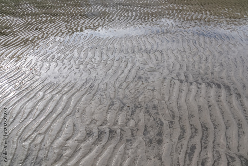 Rippled sand at low tide, with shallow water reflecting the sky. Unique patterns in sand create a textured, abstract view. Teluk Duyung, Penang National Park, Malaysia. Nature phenomenon. Natural art