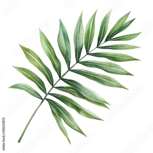 Summer greenery tropical palm leaf arrangement nature scene botanical vibrant environment close-up perspective