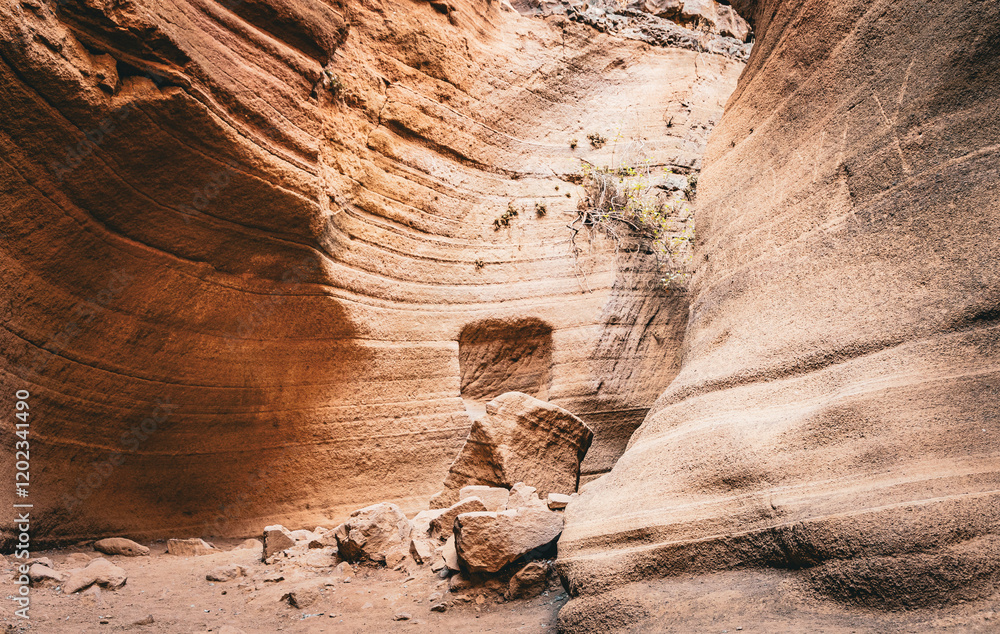 Obraz premium Barranco de las Vacas Gran Canaria Canyon
