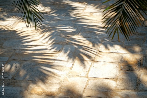 Shadows of palm leaves cast on a sunlit stone walkway in a tranquil outdoor s...