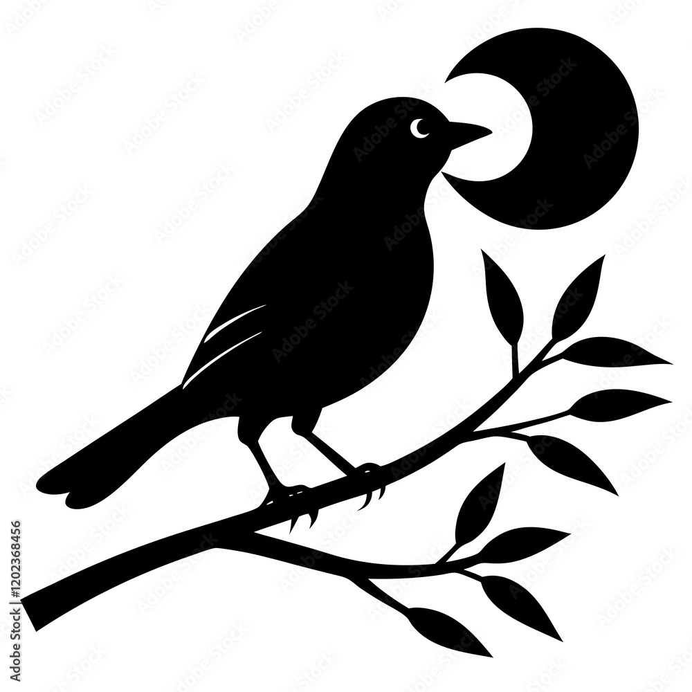 Obraz premium silhouette of a bird