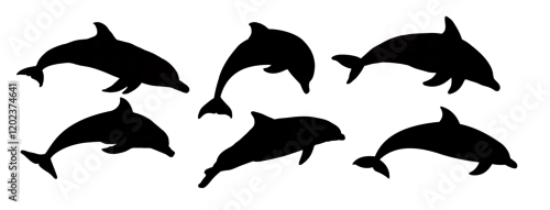 Obraz set of dolphin silhouettes - vector illustration