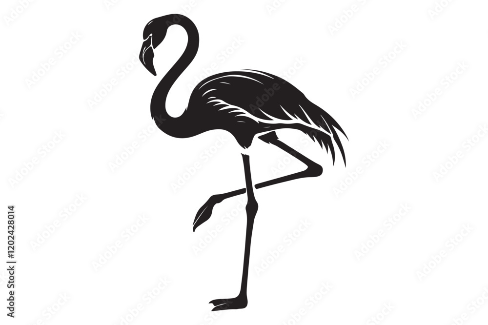 Obraz premium flamingo silhouette