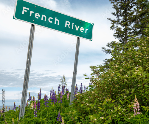 Obraz na płótnie Beautiful lupin blossoms and sign for the French River at the North Shore of Lake Superior in Minnesota, north of Duluth. w salonie