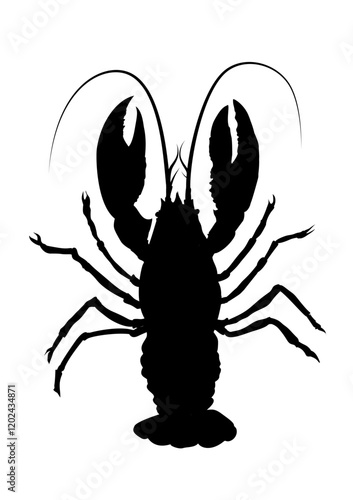 lobster silhouette - vector illustration