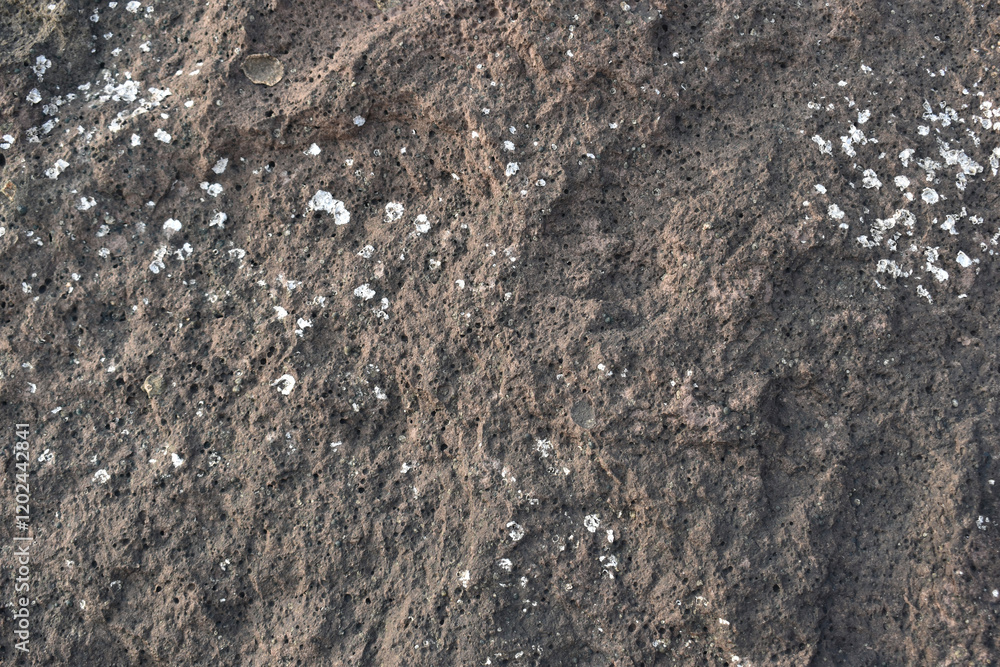 Close-up of a rough and textured rock surface. Raw stone surface showing organic shapes and lines. Earthy rock texture ideal for backgrounds or designs. Close-up of a rough and textured rock surface. Raw stone surface showing organic shapes and lines. Earthy rock texture ideal for backgrounds or designs.