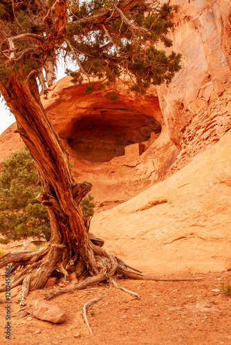 USA, Arizona, Monument Valley Navajo Tribal Park. Square House ruin inside cave. photo