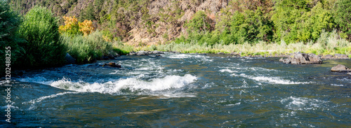 defocused Water level view of Hellgate Canyon on the wild and scenic Rogue River  photo