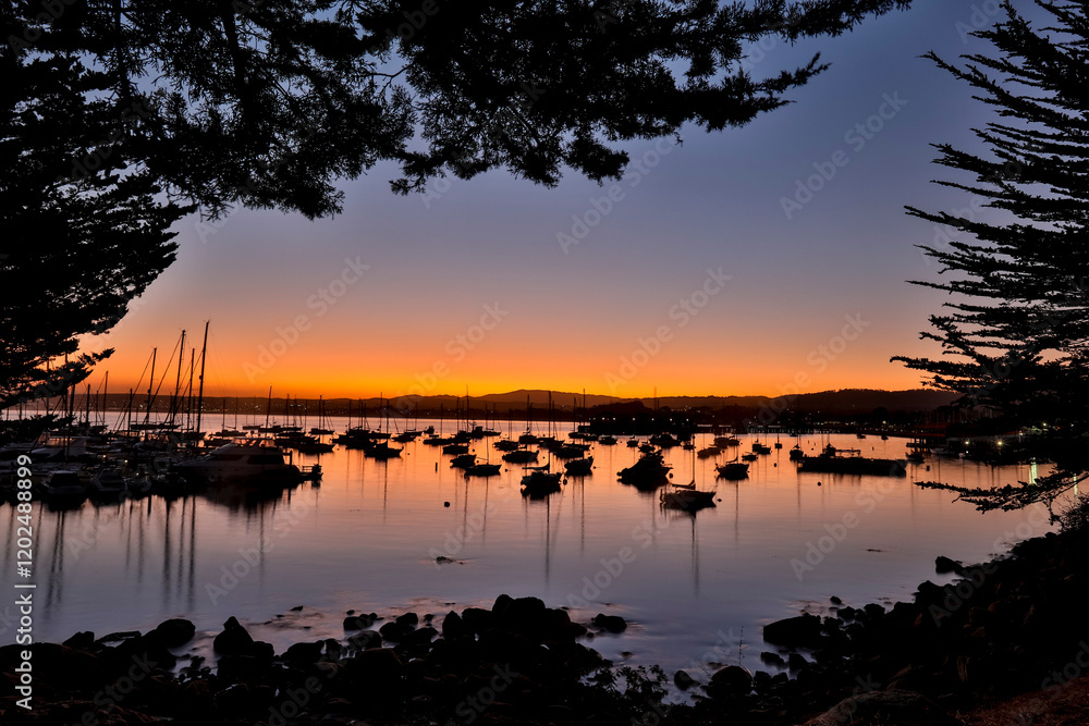 Fototapeta premium USA, California, Monterey. Monterey Bay at sunrise with silhouetted boats anchored out in the bay.