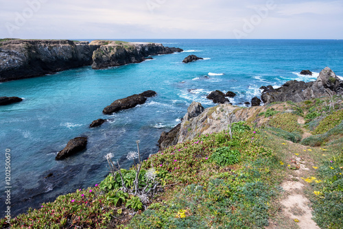 USA, California. Pacific Ocean, cliffs edge in Mendocino Headlands State Park.