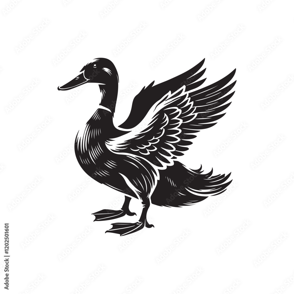 Obraz premium Duck on whitebackground