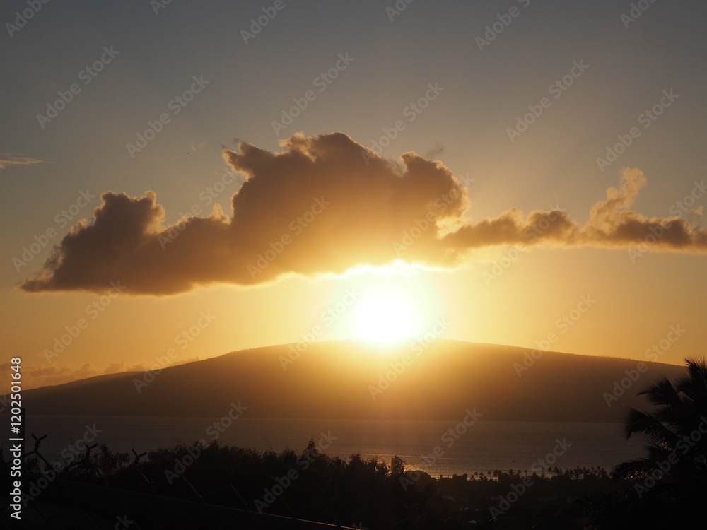 Obraz premium OLYMPUS DIGITAL CAMERA