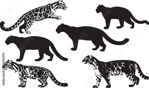 Clouded Leopard Solid Silhouette