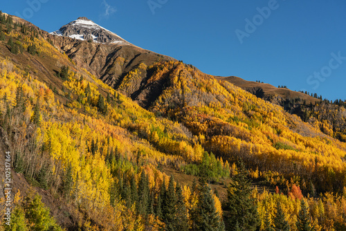 USA, Colorado, Uncompahgre National Forest. San Juan Mountains and aspen forest in autumn. photo