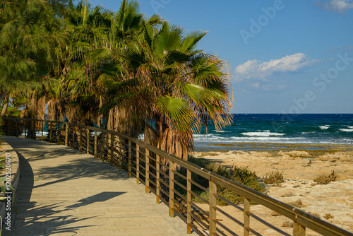 Wooden Walkway Surrounded by Palm Trees and Ocean View