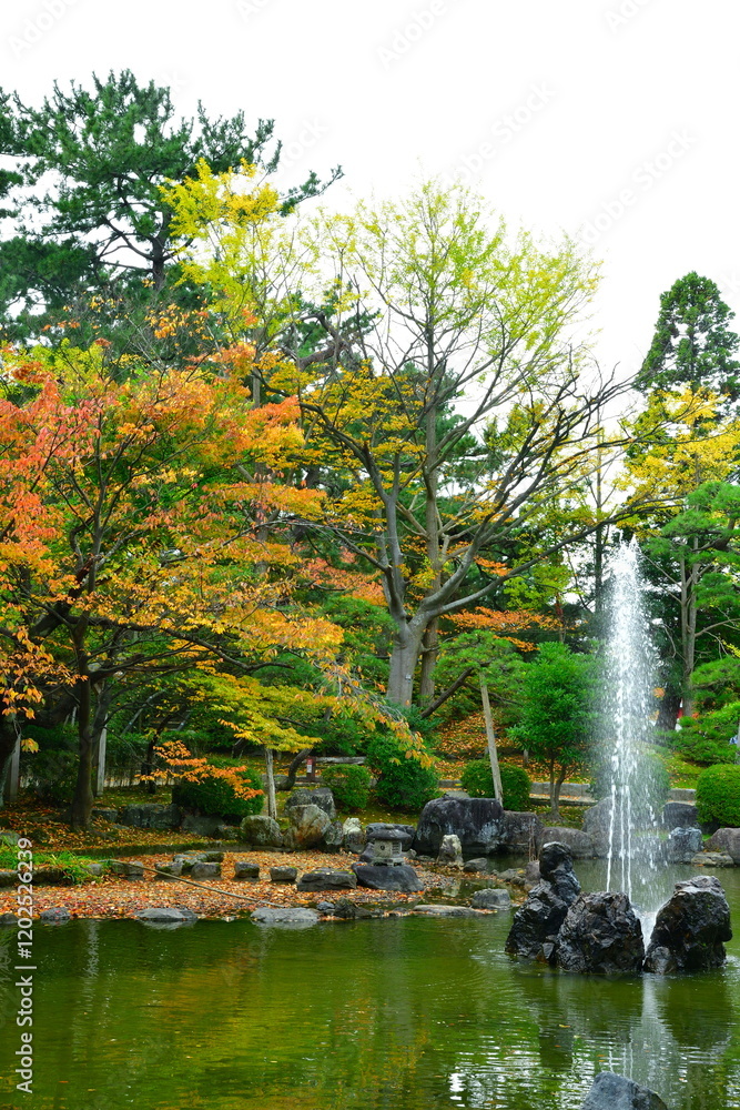 Fototapeta premium 白山神社の紅葉（新潟県）