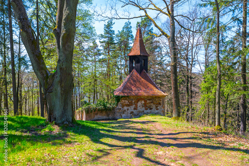 A tranquil scene showcasing the Saint Zdislava Rock Chapel nestled among forest trees with shadows dappling the ground under a clear blue sky in spring. Lemberk, Czechia photo